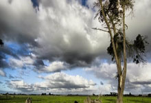 爱游戏官方入口-卡尔蒂斯主场迎战西雅图海湾者，锋线火力引爆看点