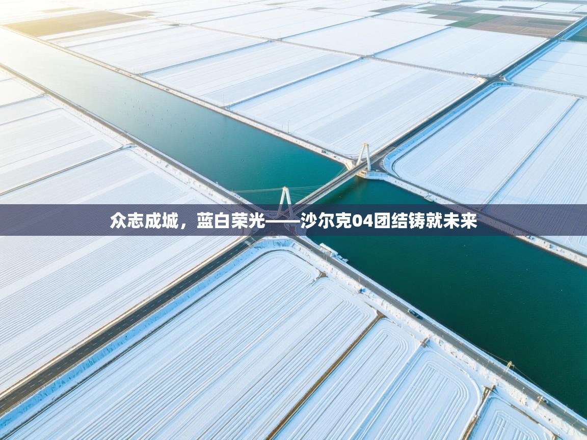 众志成城,蓝白荣光——沙尔克04团结铸就未来 第2张