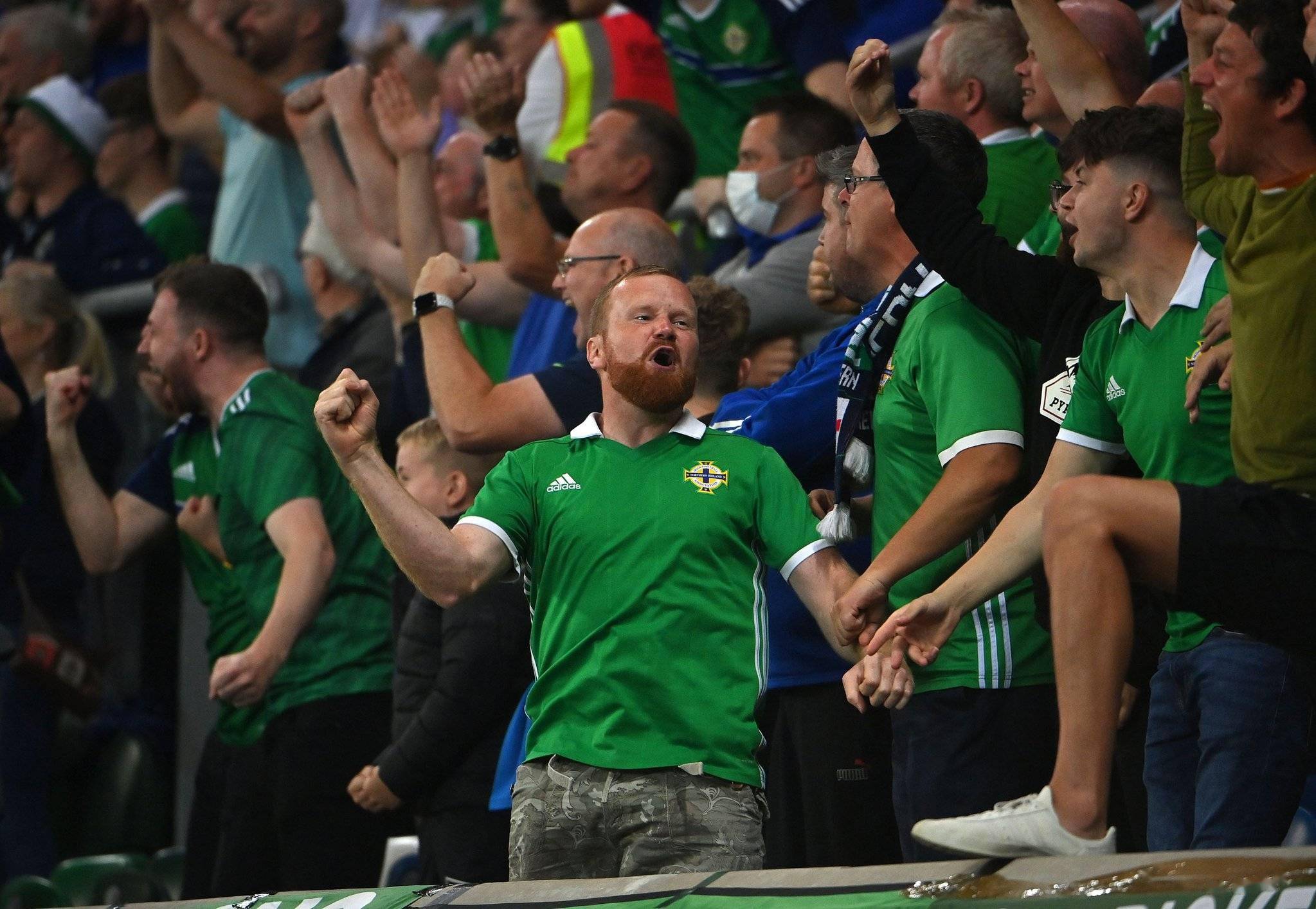 关于爱尔兰队演绎出色，小组出线前景靓丽的信息