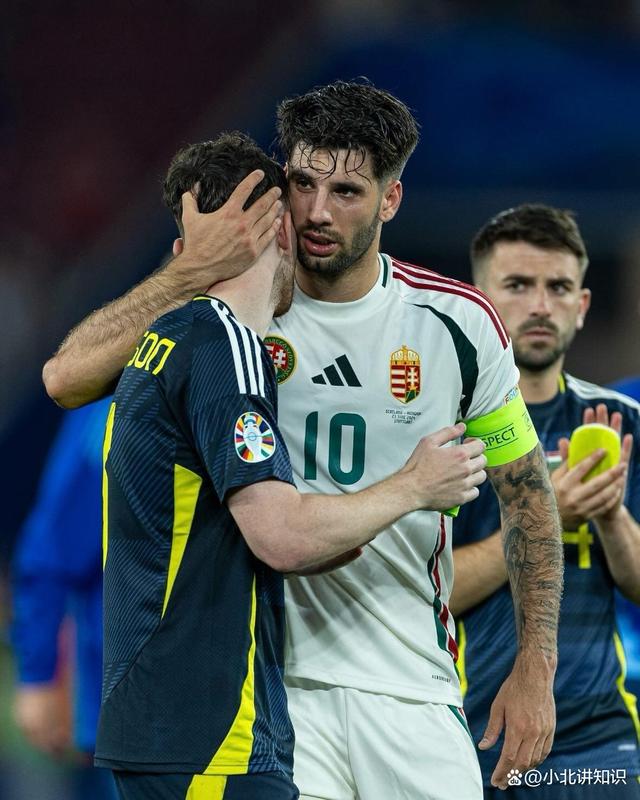 包含匈牙利遭挪威绝杀，欧锦赛希望渺茫的词条