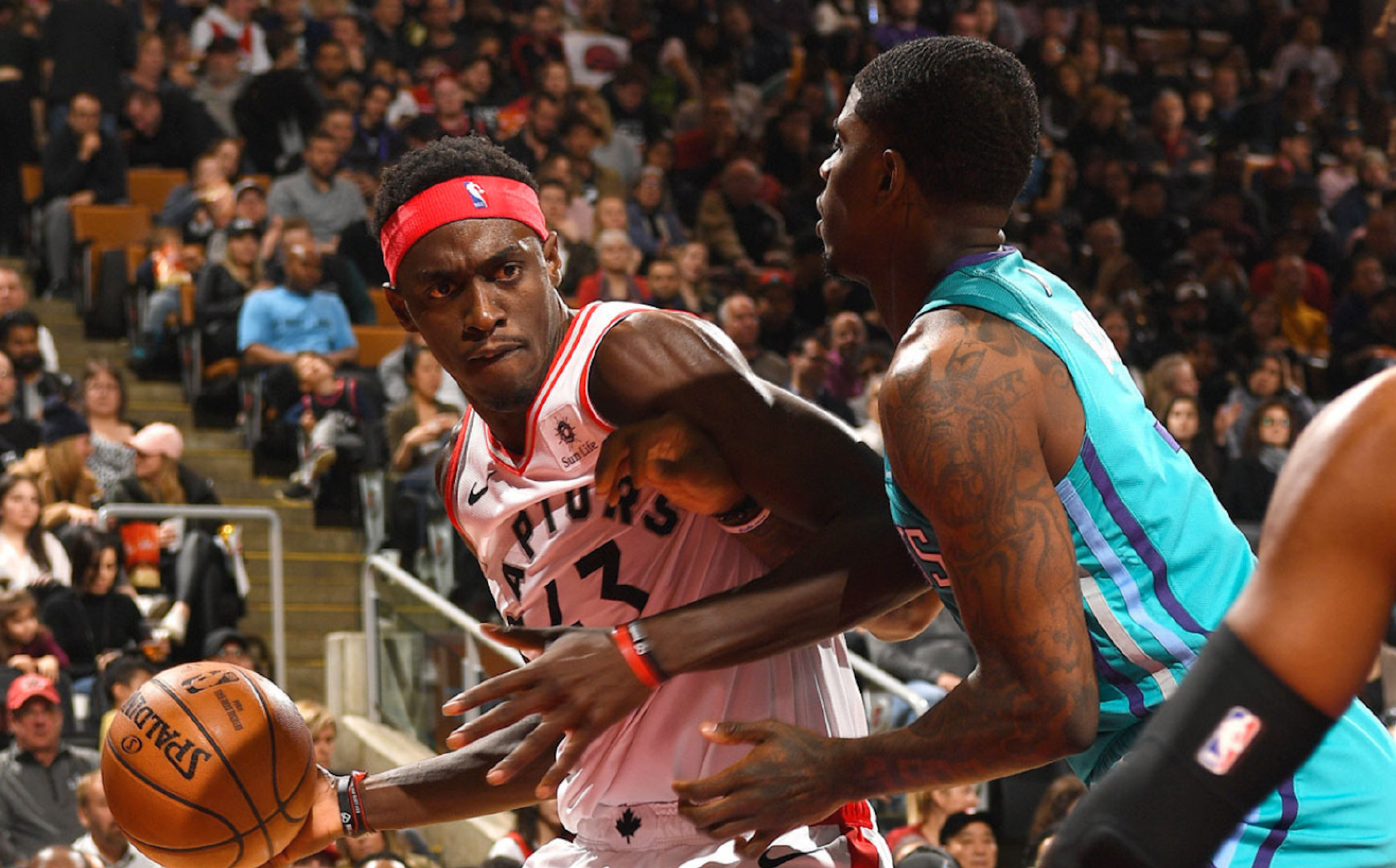 猛龙负于黄蜂,遭遇四连败 猛龙负于黄蜂,遭遇四连败