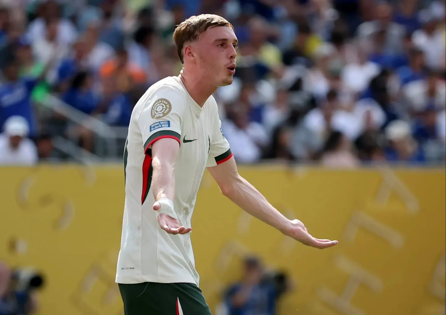 乌迪内斯客场战平帕尔玛，保持不败连胜